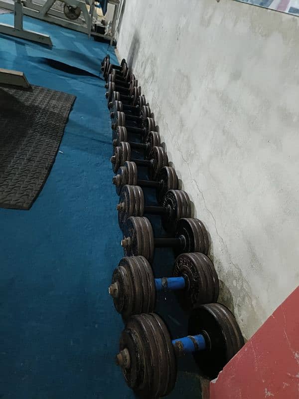 Complete gym for sale 17