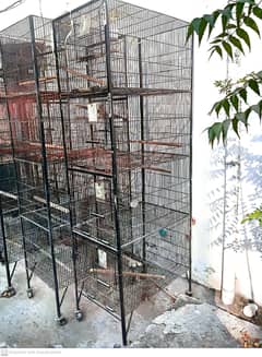 Bird Cages for Sale