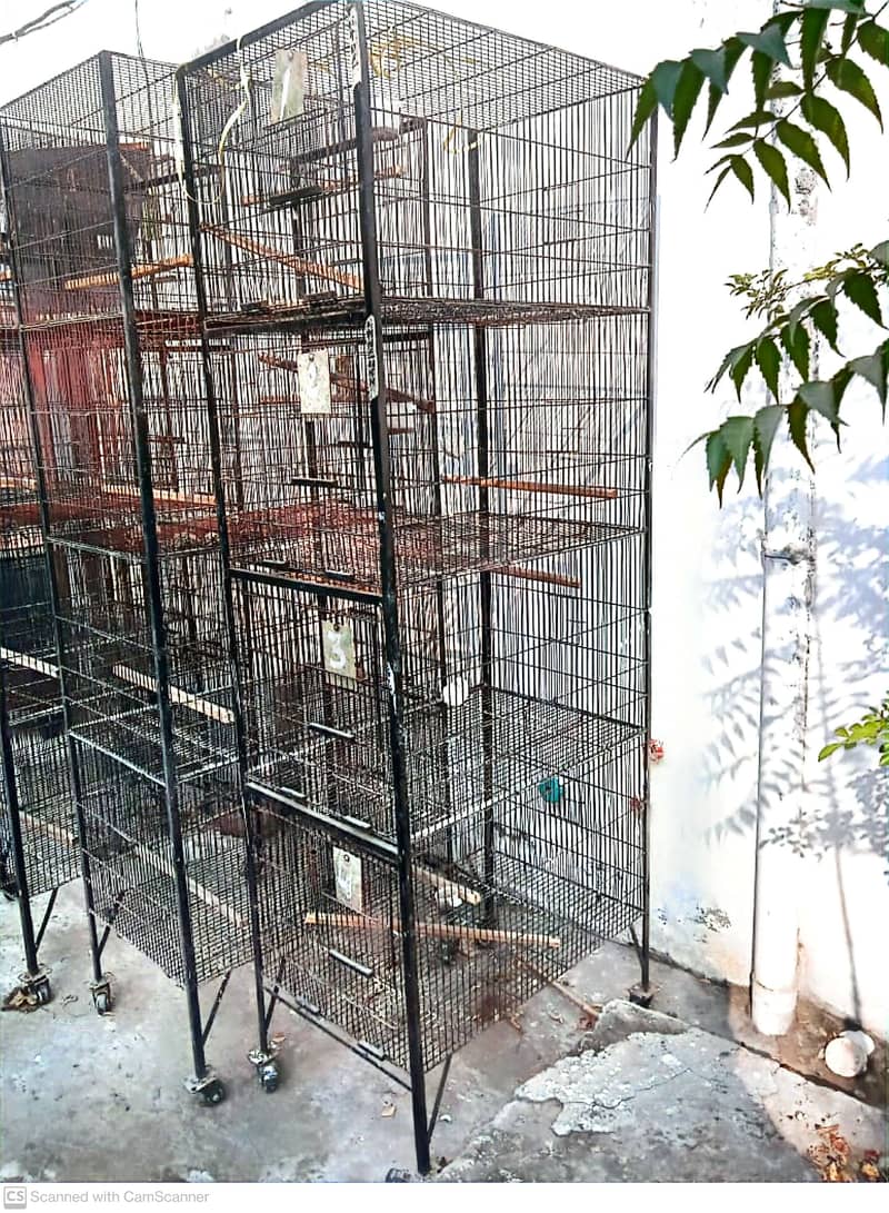 Bird Cages for Sale 0