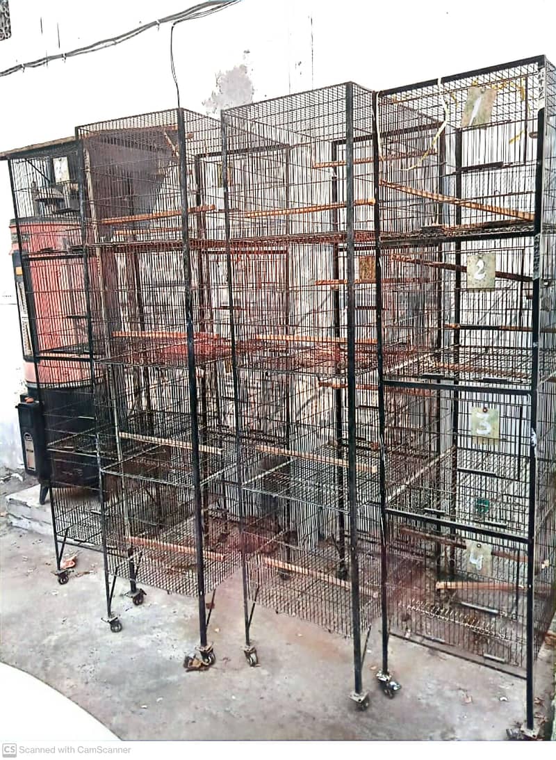 Bird Cages for Sale 1