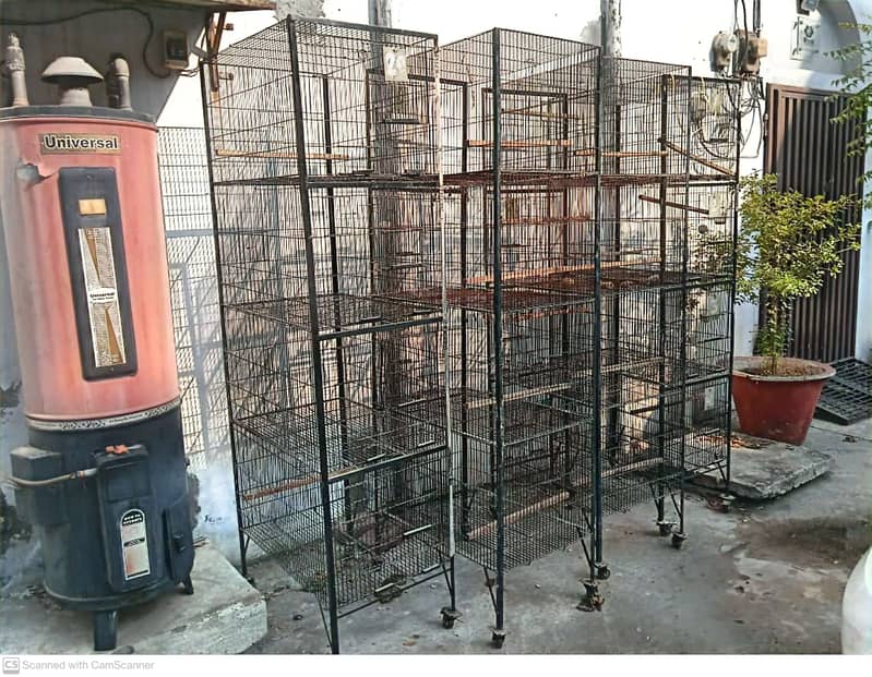 Bird Cages for Sale 2