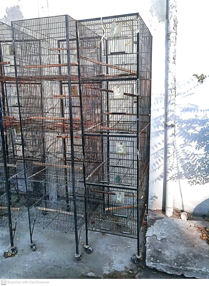 Bird Cages for Sale 3