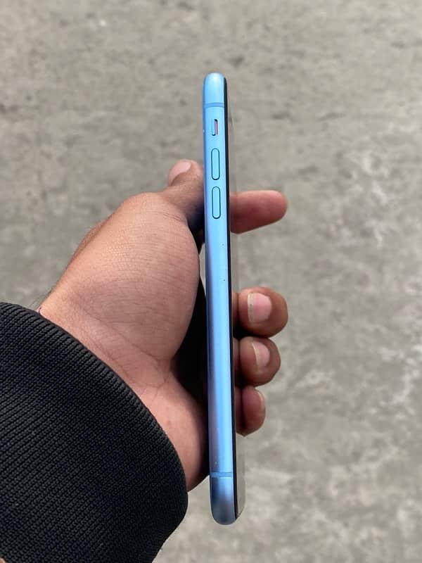 iPhone XR (128 GB PTA Approve) 3