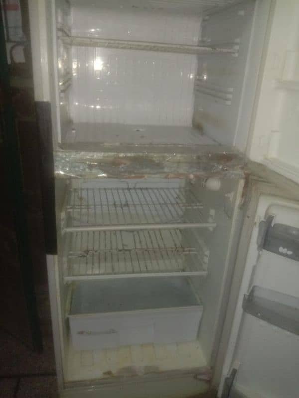 pel company medium size Freezer 1