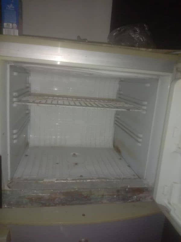 pel company medium size Freezer 2