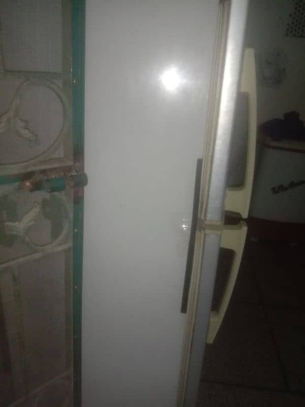 pel company medium size Freezer 3