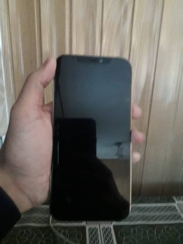 iPhone 12 Pro Max non pta 4