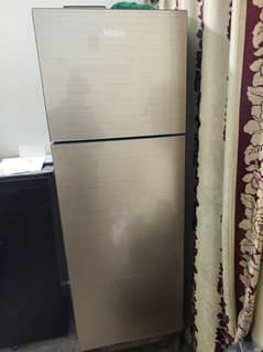 Haier Refrigerator Full Size 10/10