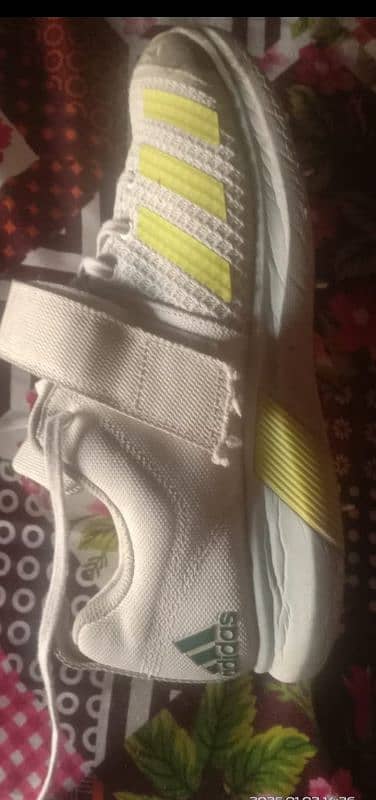 Adidas cricket spike condition 10/10 2