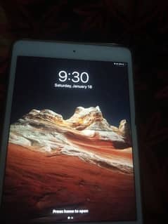 IPAD MINI 4 ICLOUD BUT WORKING FINE