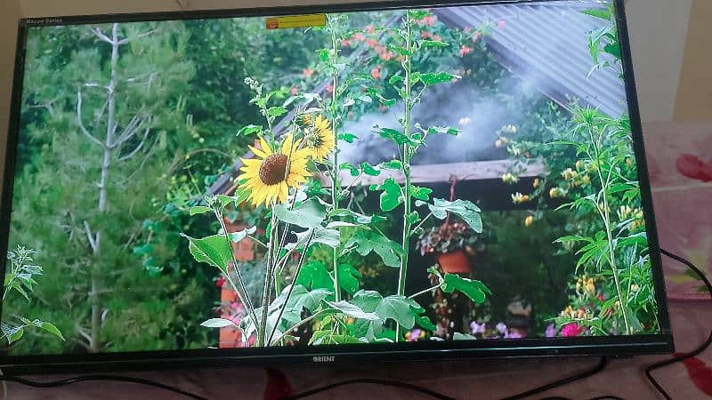 orient led 40" andriod box 14