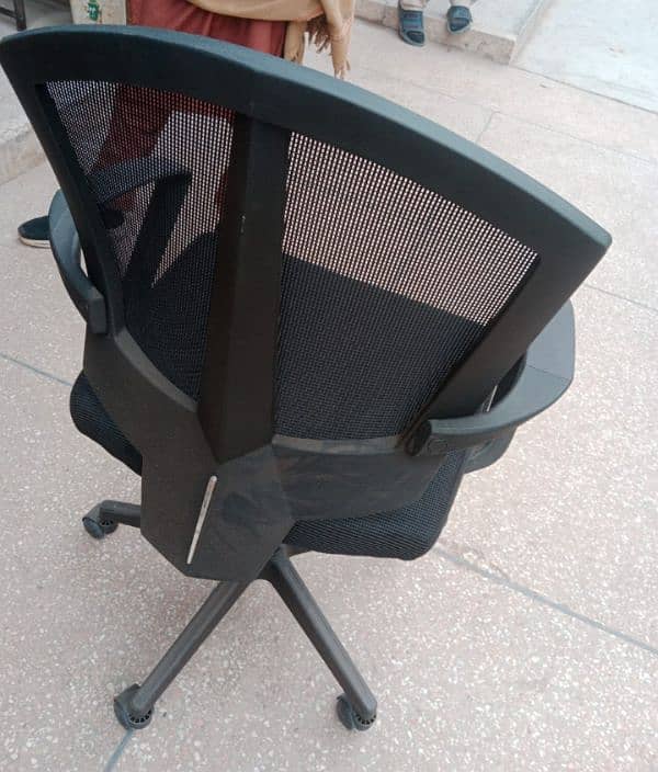 Interwood Brand New Chairs 14+1 4