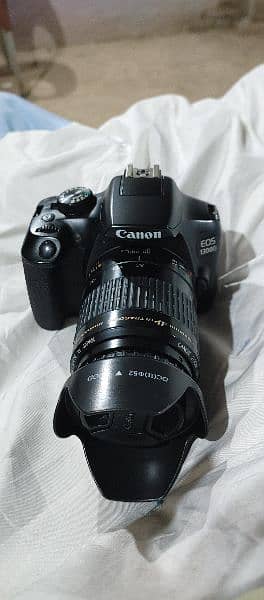 Canon 1300D with 200mm lens 3