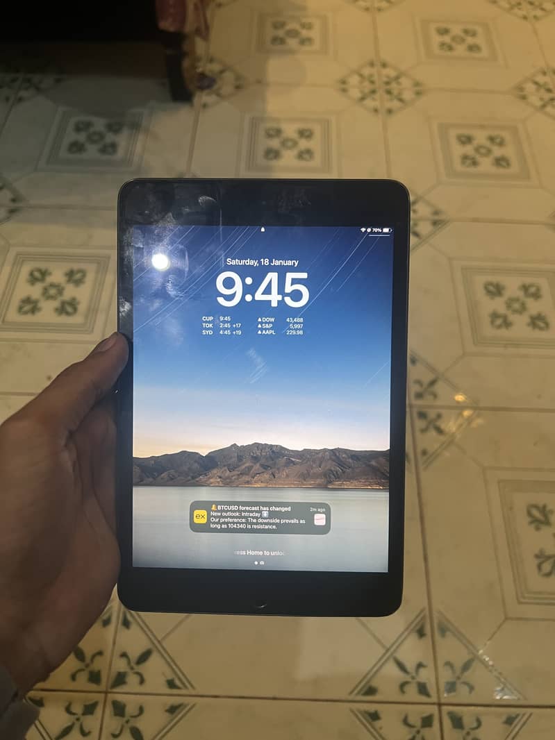 Ipad mini 5 pubg 0