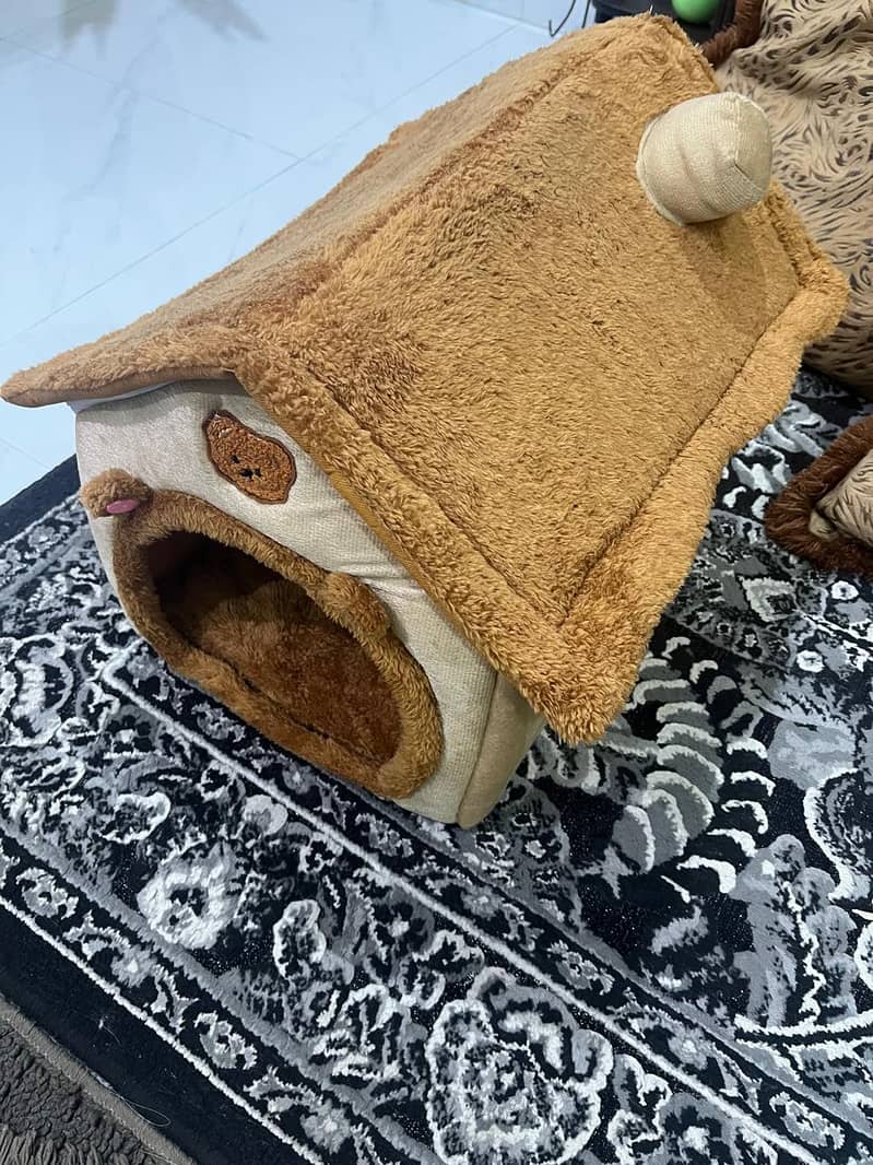 Cat House 2