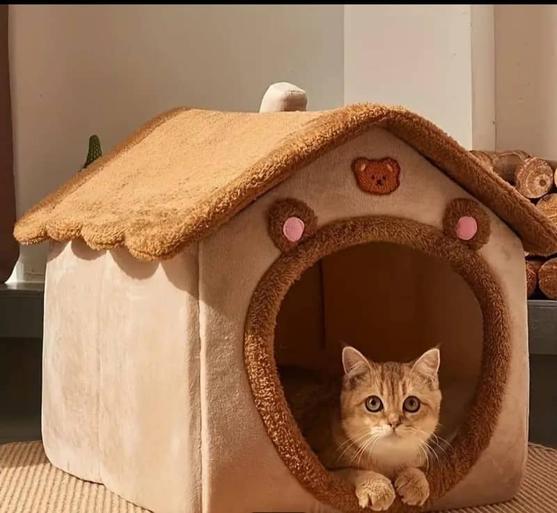 Cat House 3