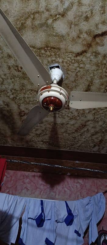 11 Used Home Fans in good running Condition 9