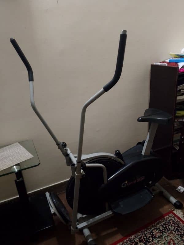 full body workout Ellipticals 1