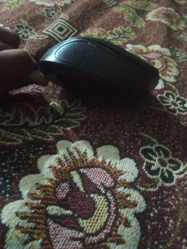 mouse 1