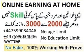 Online Earning job at home / female and male /daily income/ in dollers