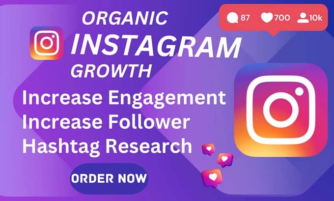 Instagram Organic Followers (Gauranteed) 1