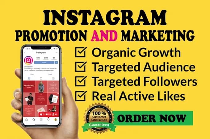 Instagram Organic Followers (Gauranteed) 3