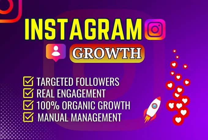 Instagram Organic Followers (Gauranteed) 5