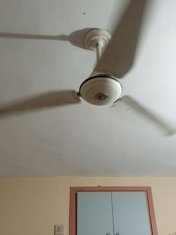 blaze Ceiling Fan 1