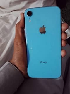 iPhone XR