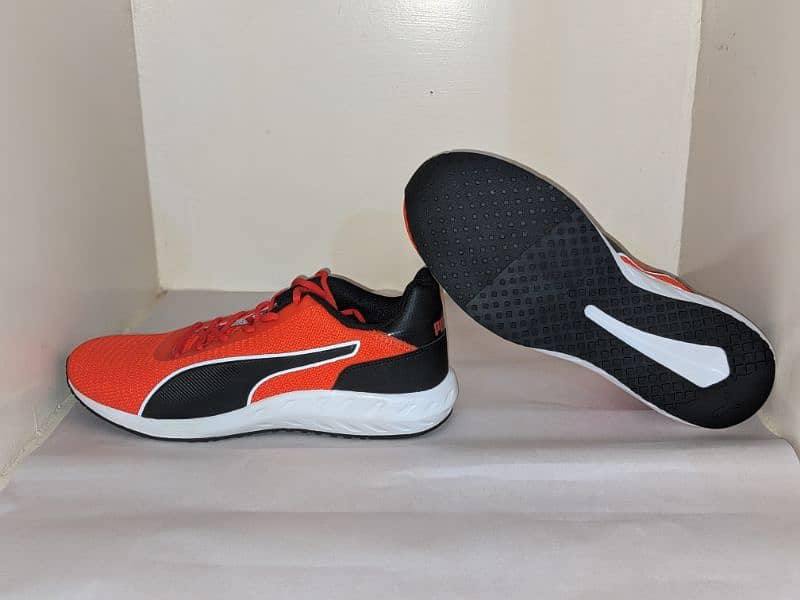 Puma Original Brand New Running shoes 4