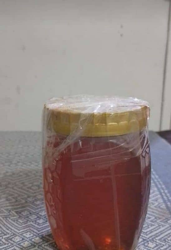 Pure Small Bee (Chota) Honey with Money back guarantee 1