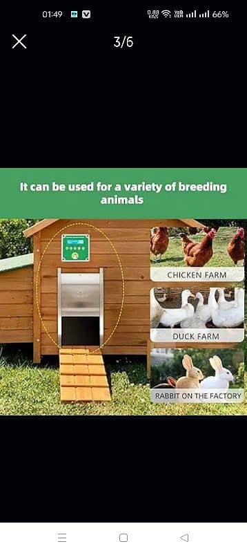 Automatic Chicken Coop Door Opener, Automatic Chicken Door 2