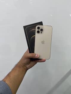 I Phone 12 Pro max PTA Approved