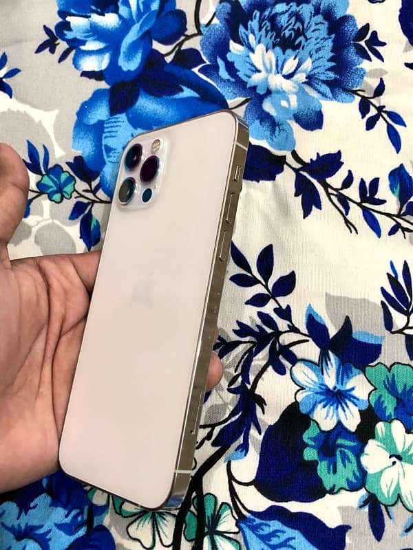 iPhone 12 Pro 128 GB Non PTA White 1