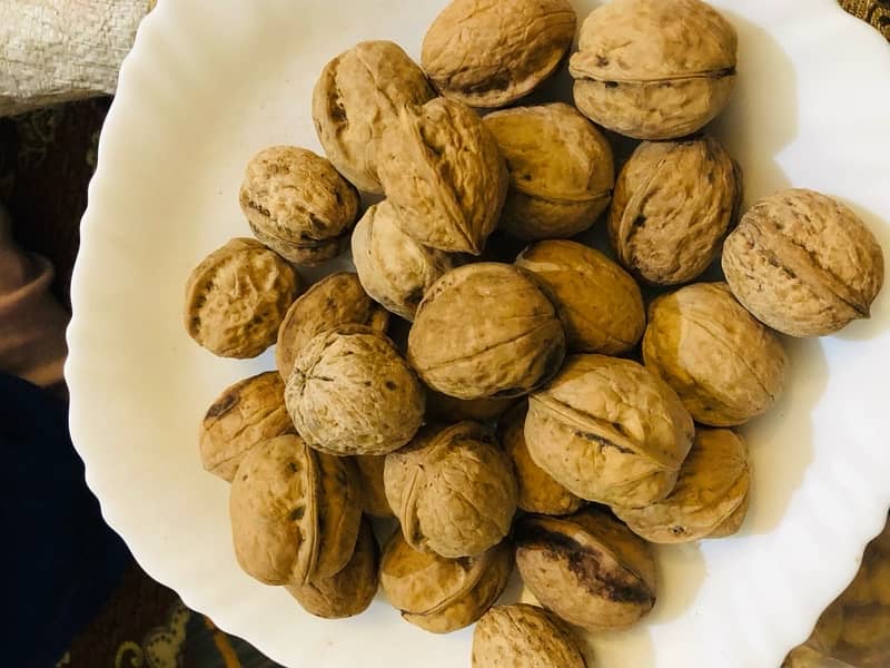 Gilgit baltistan walnut 0