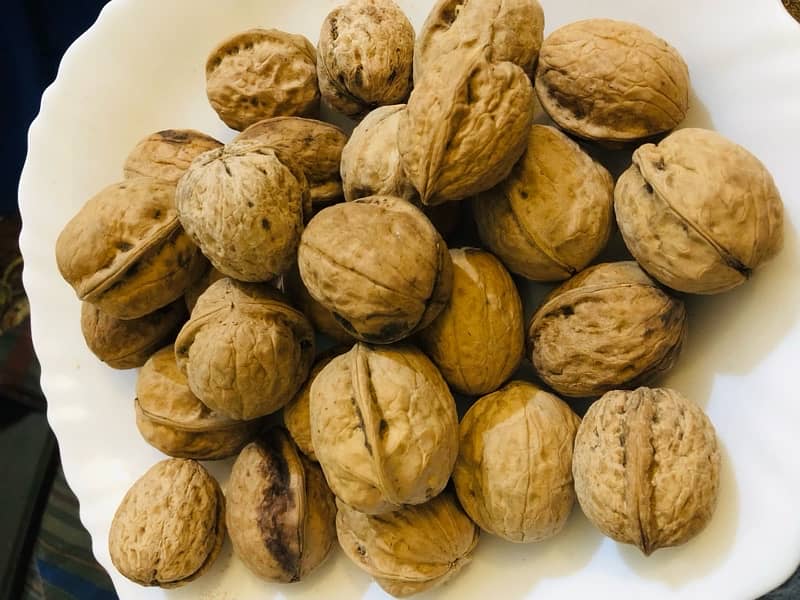 Gilgit baltistan walnut 1