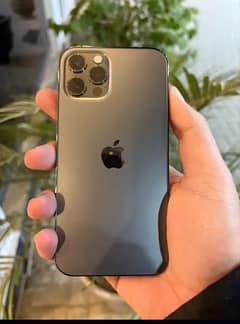 i phone 12 pro