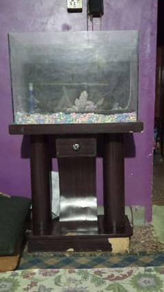 fish aquarium