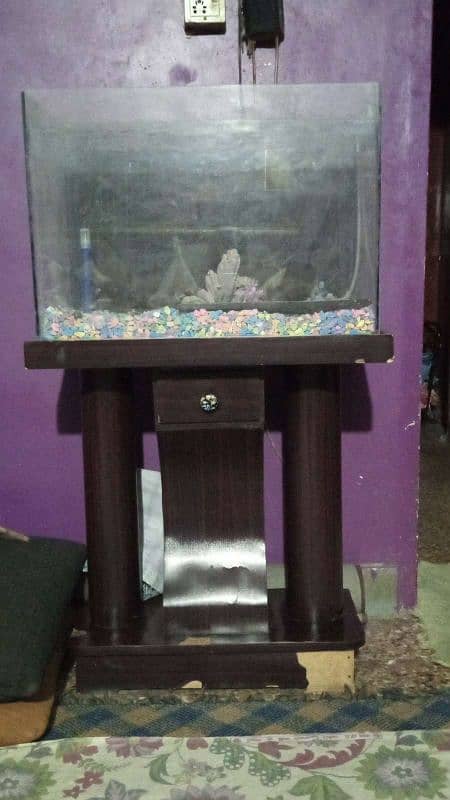 fish aquarium 0