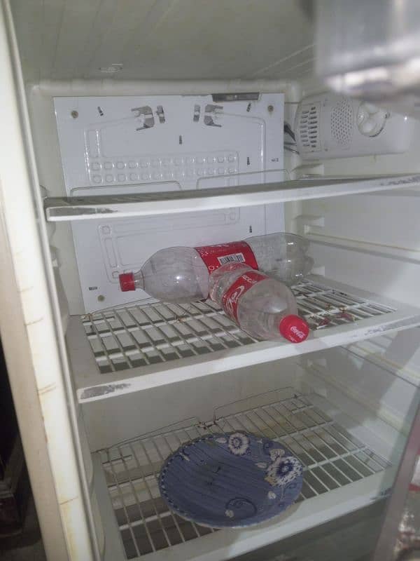 pel ki fridge ha full bara size me 1