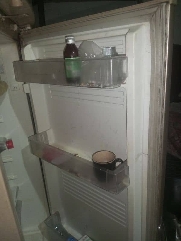 pel ki fridge ha full bara size me 2