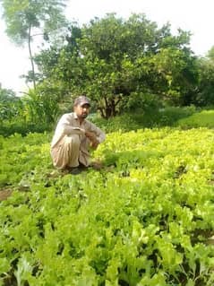 farmer کیسان جاب چاہیے مجے