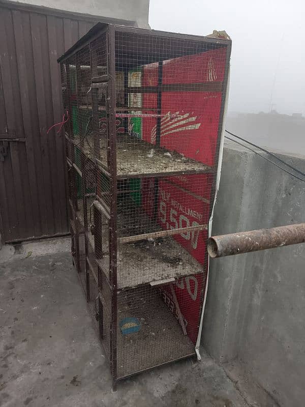 iron cage pinjra for hens and birds 0