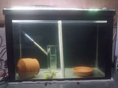 Aquarium for sale