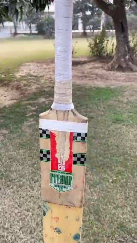 1 Month used cricket bat handle change 0