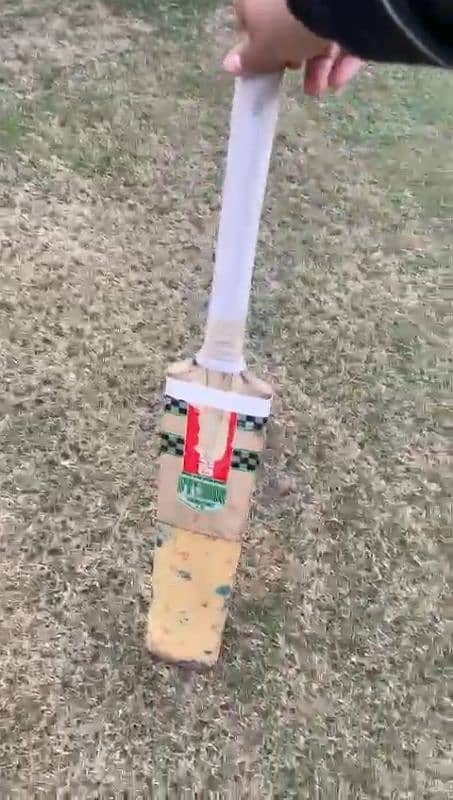 1 Month used cricket bat handle change 5