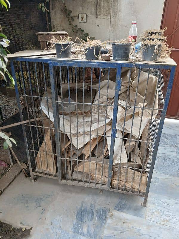 Cage for Sale. 1