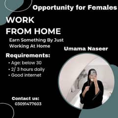 Online Business Opportunity for females