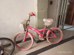 Pink Bicycle