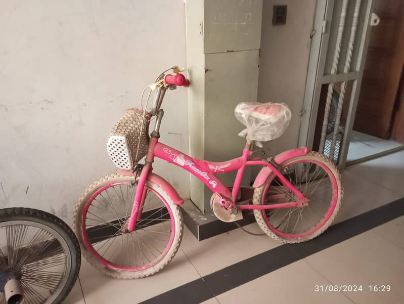 Pink Bicycle 0